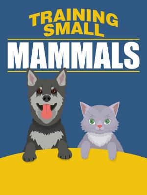 Book cover of Training small Mammals