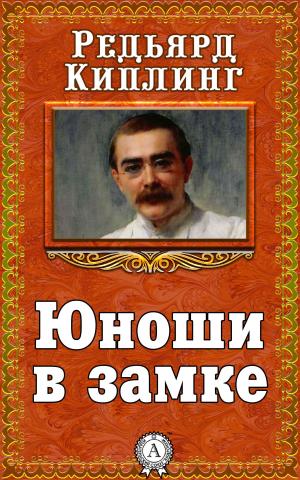 Cover of the book Юноши в замке by Владимир Маяковский