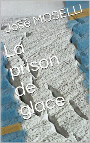 Cover of the book La prison de glace by Paco Ignacio Taibo II