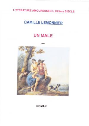 Cover of the book UN MALE by ANDRE BAILLON