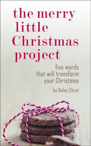 Book cover of The Merry Little Christmas Project