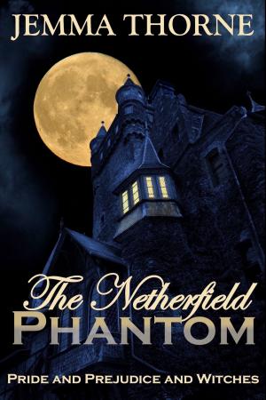 Cover of the book The Netherfield Phantom by Stella Blandy
