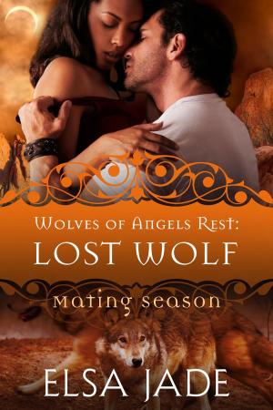 bigCover of the book Lost Wolf by 