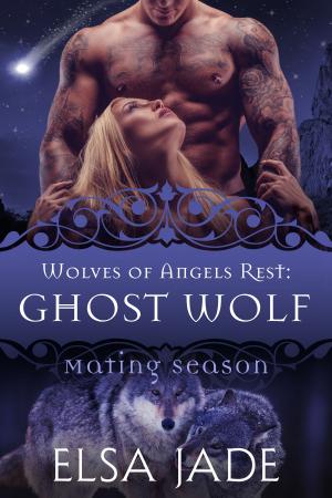 Cover of the book Ghost Wolf by KS Augustin
