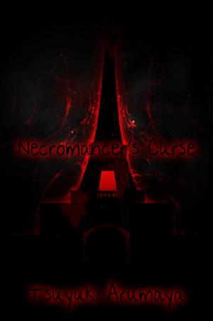 Cover of the book Necromancer's Curse by Assaf Koss