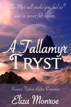Cover of the book A Tallamyr Tryst by Ashley Zacharias