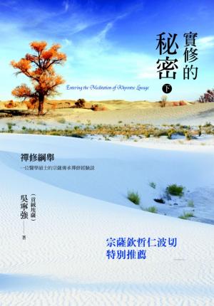 Cover of the book 實修的秘密——禪修綱舉 下冊Entering the meditation of Khyentse Lineage(2) by Joshua Norager