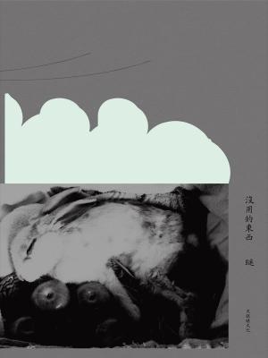 Cover of the book 沒用的東西 by Howon Lee