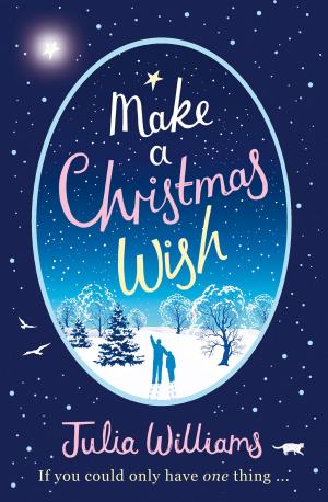 Cover of the book Make A Christmas Wish by Jon Teckman
