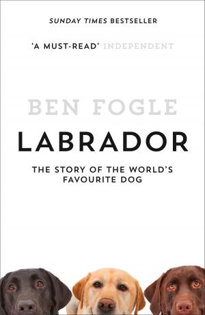 Cover of the book Labrador: The Story of the World’s Favourite Dog by George Lyons