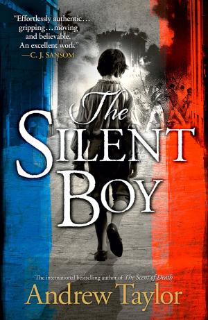 Book cover of The Silent Boy