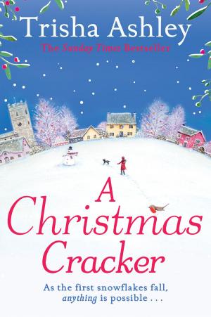 Book cover of A Christmas Cracker