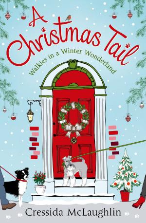 Book cover of A Christmas Tail