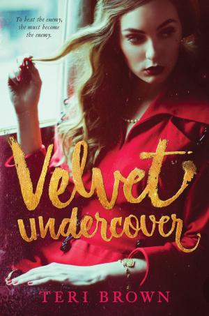 Cover of the book Velvet Undercover by Sara Raasch