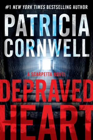 Cover of the book Depraved Heart by Dane Huckelbridge