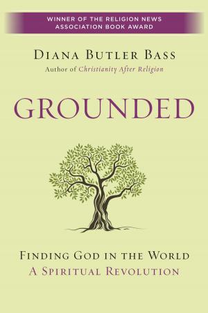 Cover of the book Grounded by James Martin