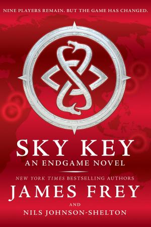 Cover of the book Endgame: Sky Key by Kellie Steele