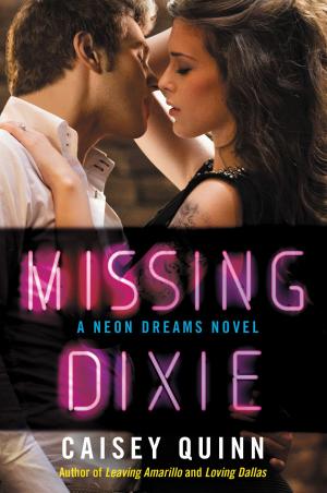 Book cover of Missing Dixie