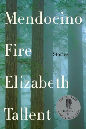 Cover of the book Mendocino Fire by Michelle Rhee
