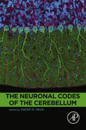 Cover of the book The Neuronal Codes of the Cerebellum by 
