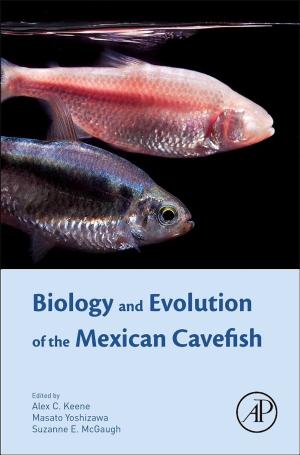 Cover of the book Biology and Evolution of the Mexican Cavefish by Graham A. Webb