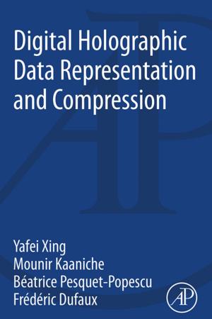 Cover of the book Digital Holographic Data Representation and Compression by Peter W. Hawkes