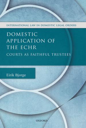 Cover of the book Domestic Application of the ECHR by Paul Wilkinson