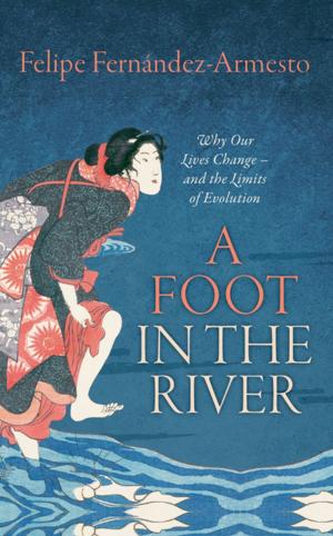 Cover of the book A Foot in the River by Reinhard G. Kratz