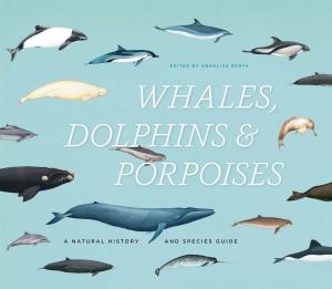 Cover of the book Whales, Dolphins, and Porpoises by Robert M. Entman, Andrew Rojecki