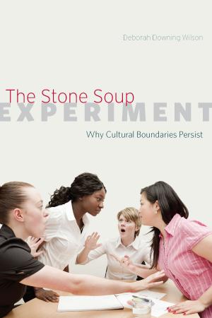 Cover of the book The Stone Soup Experiment by Richard Stark