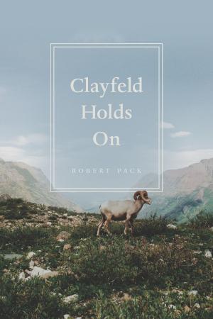 Cover of the book Clayfeld Holds On by Bob Gluck
