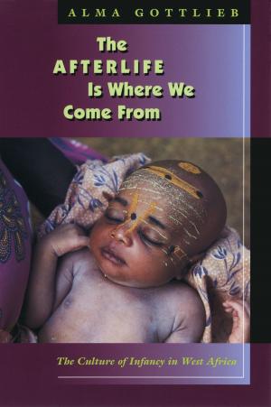 Cover of the book The Afterlife Is Where We Come From by Jody Enders
