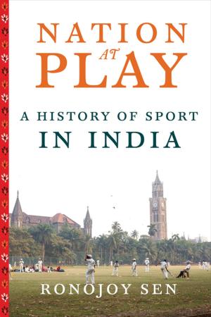 Cover of the book Nation at Play by Michael Bourdaghs