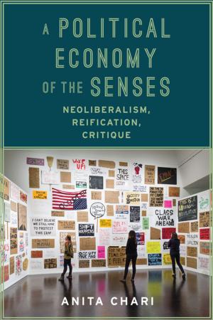 Cover of the book A Political Economy of the Senses by Belén Vidal