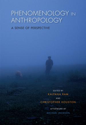 Cover of the book Phenomenology in Anthropology by BARRY BERGEY