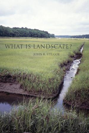 Cover of the book What Is Landscape? by Paulo Ferrão, John E. Fernández