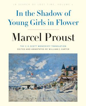 Cover of the book In the Shadow of Young Girls in Flower by David Caute