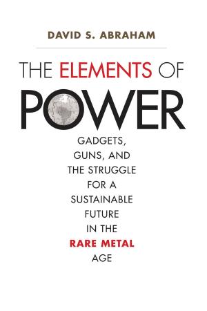 Cover of the book The Elements of Power by Rebecca Lemov