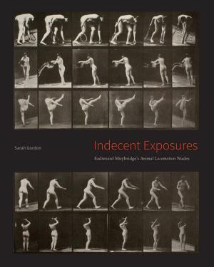 Cover of the book Indecent Exposures by John Rhodehamel