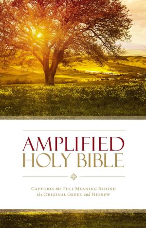 Cover of the book Amplified Holy Bible, eBook by Craig Groeschel