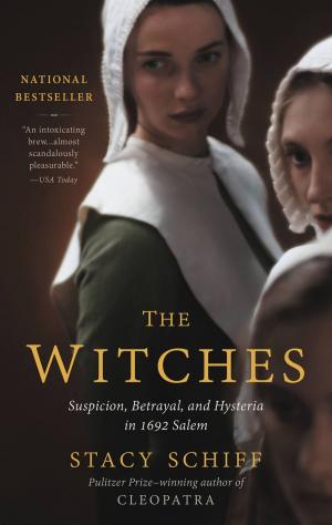 Cover of the book The Witches by David Foster Wallace