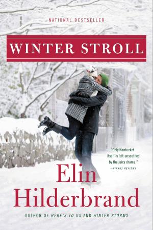 Cover of the book Winter Stroll by Rick Moody