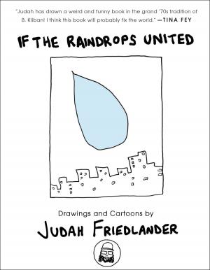 Book cover of If the Raindrops United