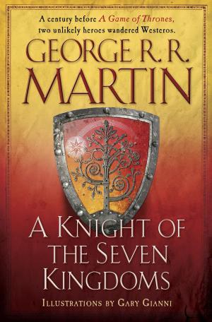 Book cover of A Knight of the Seven Kingdoms