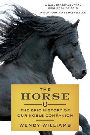 Cover of the book The Horse by Christian Kracht