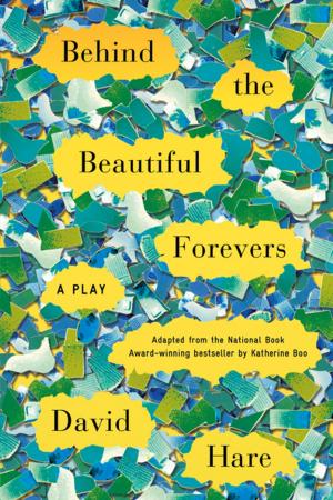 Cover of the book Behind the Beautiful Forevers by Jonathan Rosen