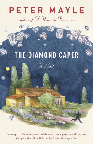 Cover of the book The Diamond Caper by Gérard de Villiers