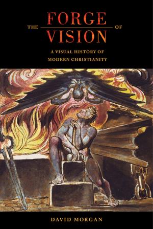 Cover of the book The Forge of Vision by Eric Herhuth