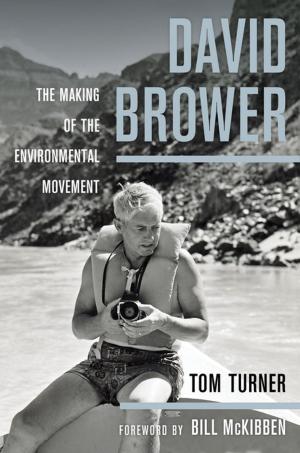 Cover of the book David Brower by Noah Isenberg