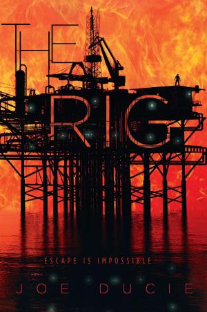 Cover of the book The Rig by Katherine Paterson